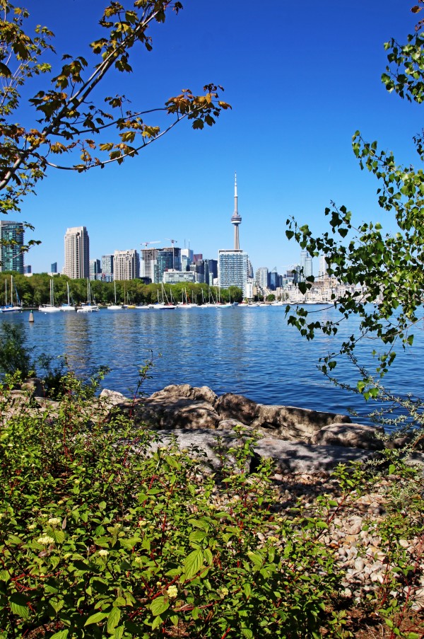 Toronto Waterfront I by Deb Oppermann